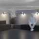 Купить Уличный настенный светильник Paso O595WL-L12B3K - фото: 4