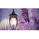 Купить Ландшафтный светильник  Fleur O414FL-01GB1 - фото: 9